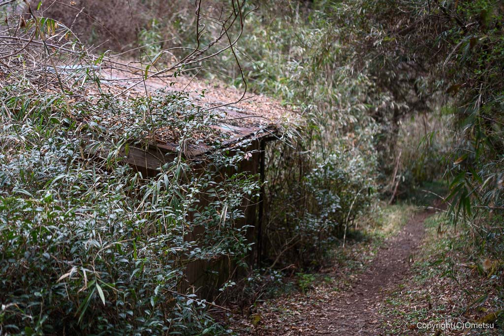 青梅市・赤ぼっこ登山道の、廃屋