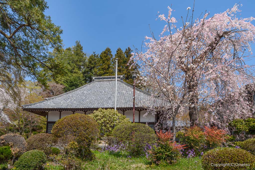 青梅市・妙光院