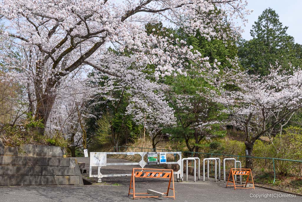 青梅・霞丘陵ハイキングコース・愛宕山公園付近