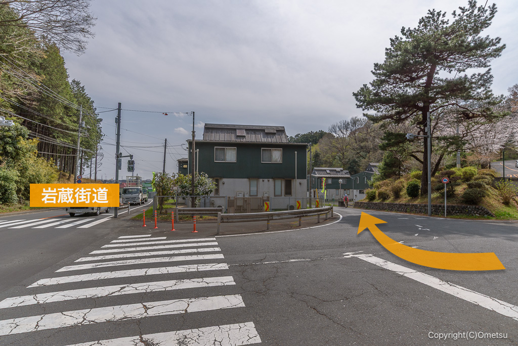 青梅・霞丘陵ハイキングコース、笹仁田峠付近