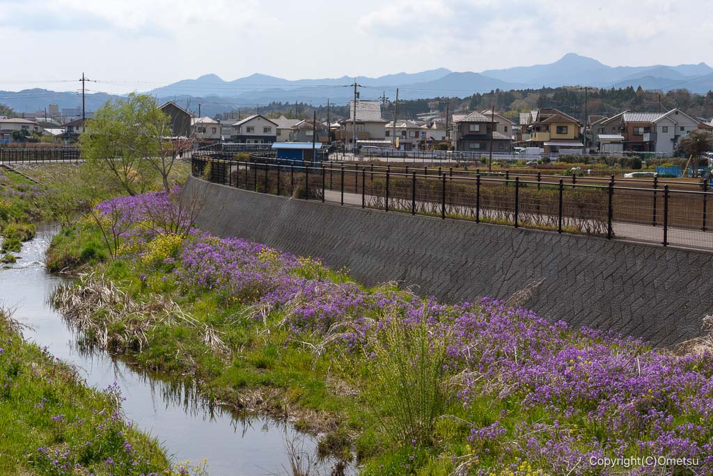 青梅・霞川遊歩道と、大岳山