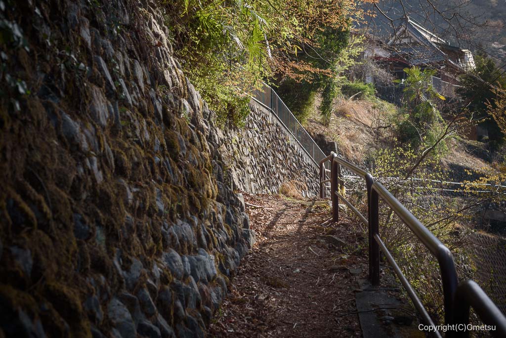 奥多摩・むかし道の道