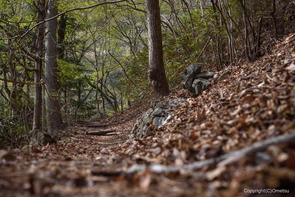 奥多摩・むかし道