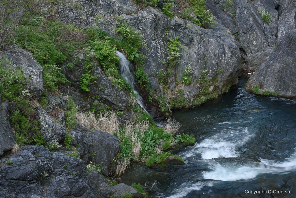 奥多摩・鳩ノ巣小橋からの滝