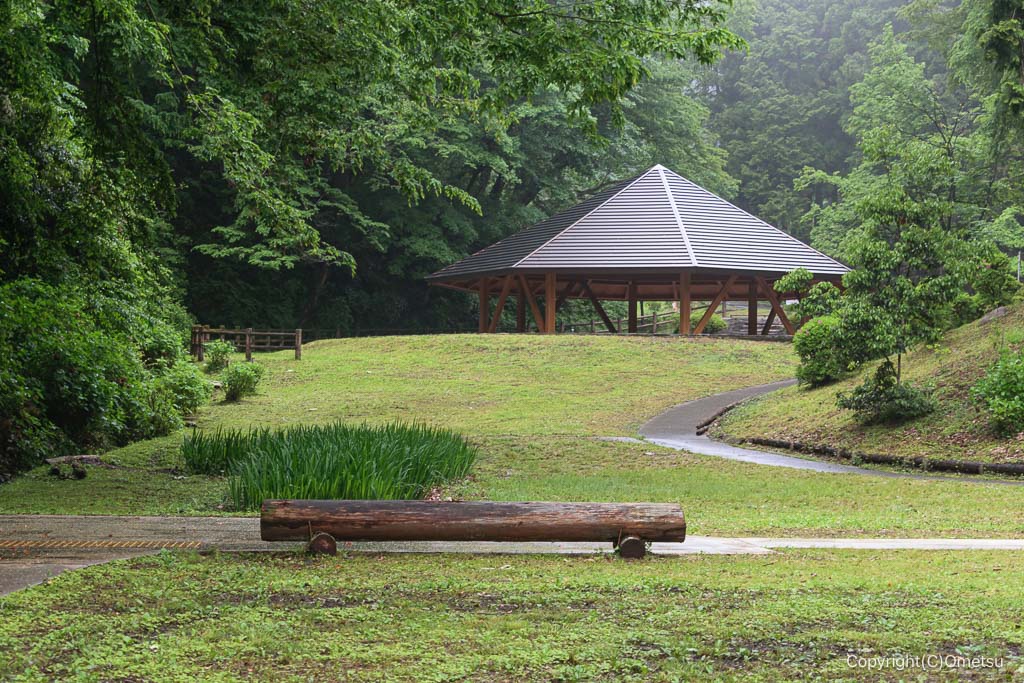 青梅市、風の子・太陽の子広場
