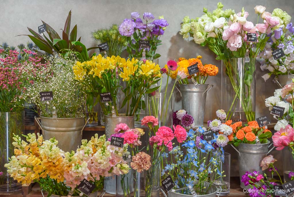 日の出町・ヒノサクの花