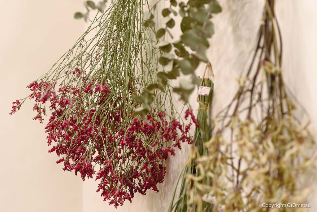 日の出町・ヒノサクの、ドライフラワー