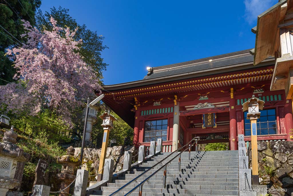 武蔵御嶽神社・随身門と枝垂れ桜