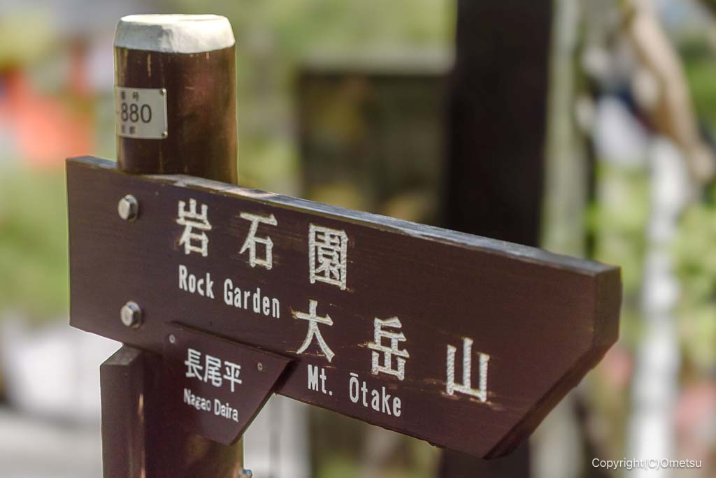 御岳山・大岳山分岐