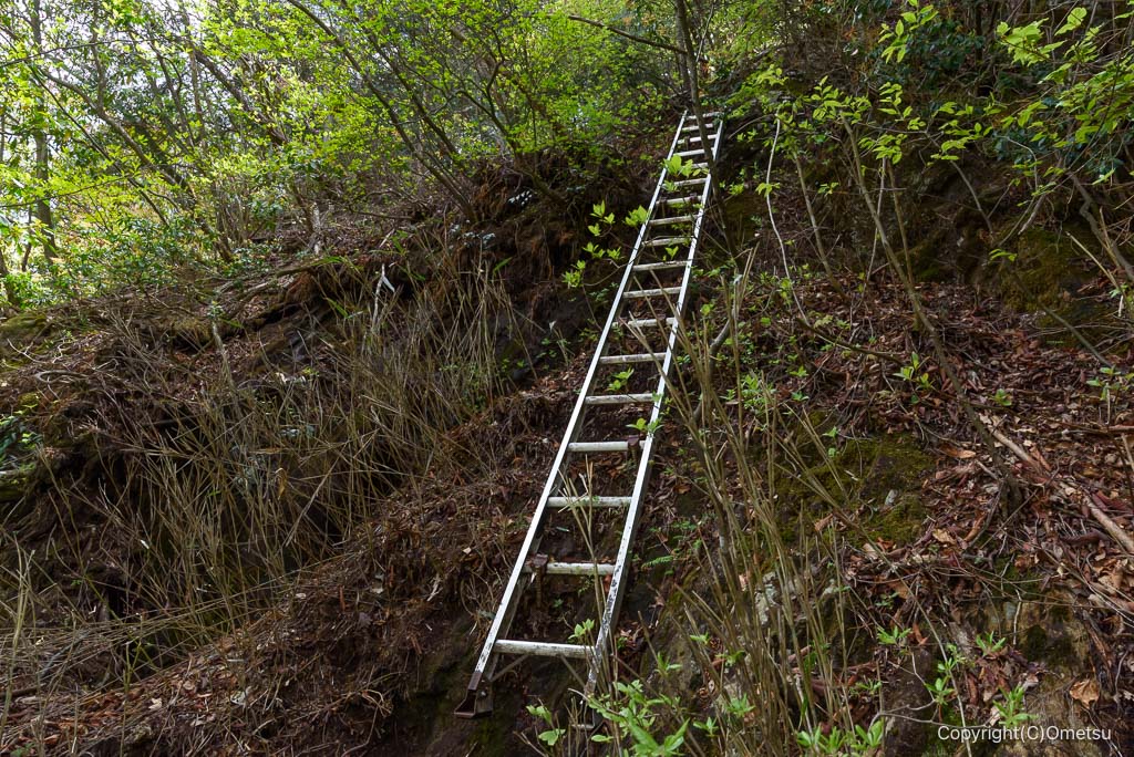 奥多摩・上高岩山登山道のハシゴ