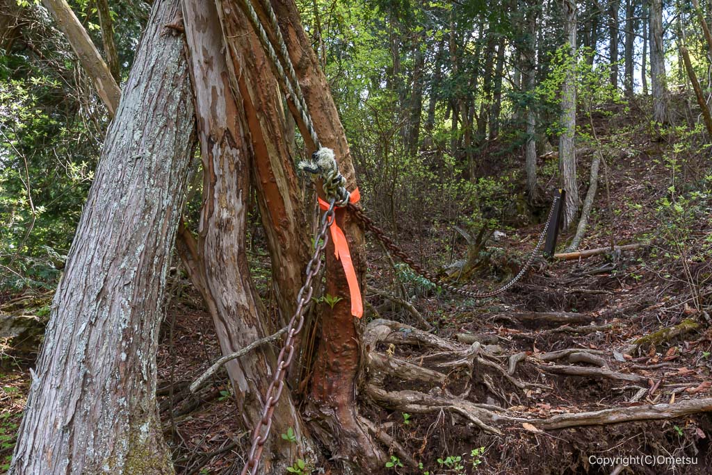 奥多摩・上高岩山登山道の、鎖場