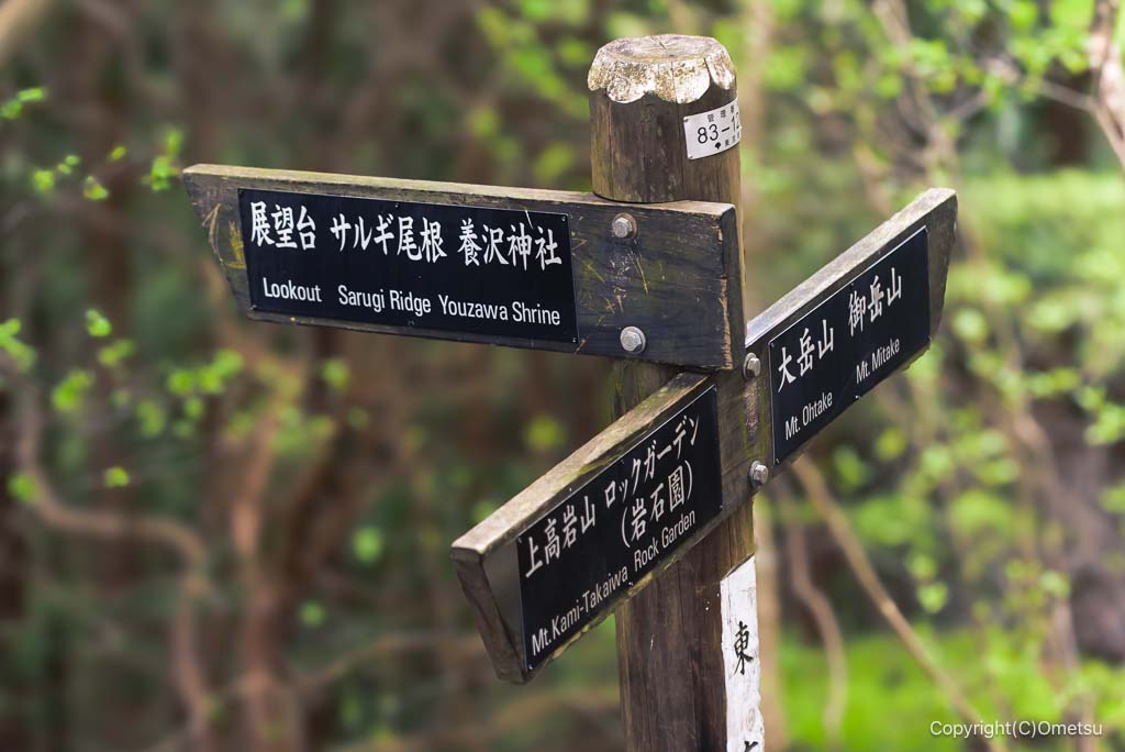 奥多摩・上高岩山分岐