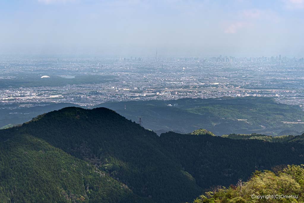 奥多摩・上高岩山の展望台からのスカイツリー