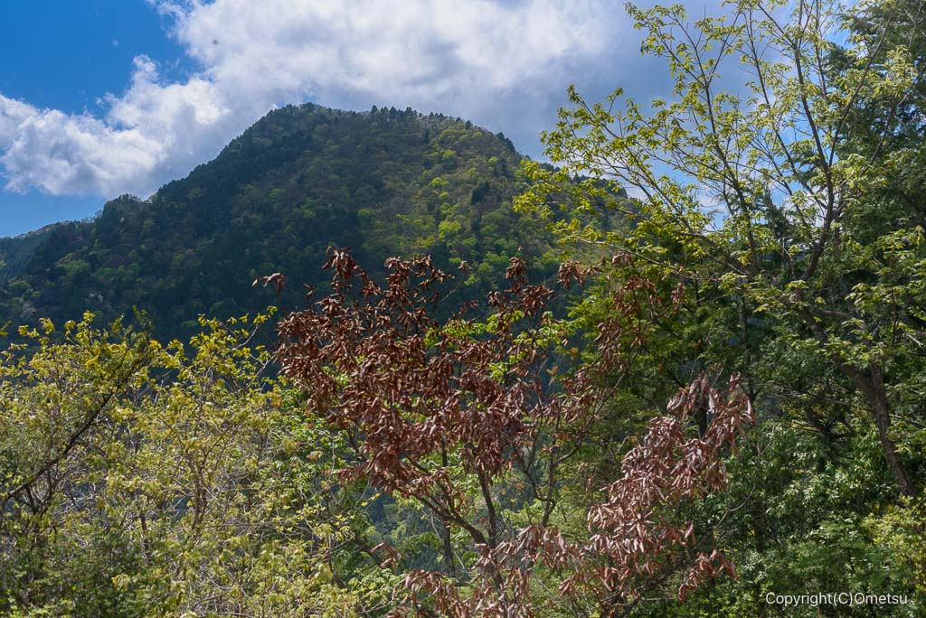 奥多摩・上高岩山からの大岳山