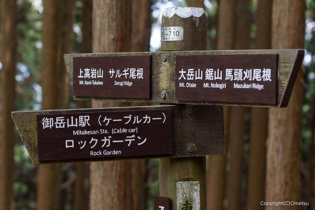 奥多摩・茶場峠

