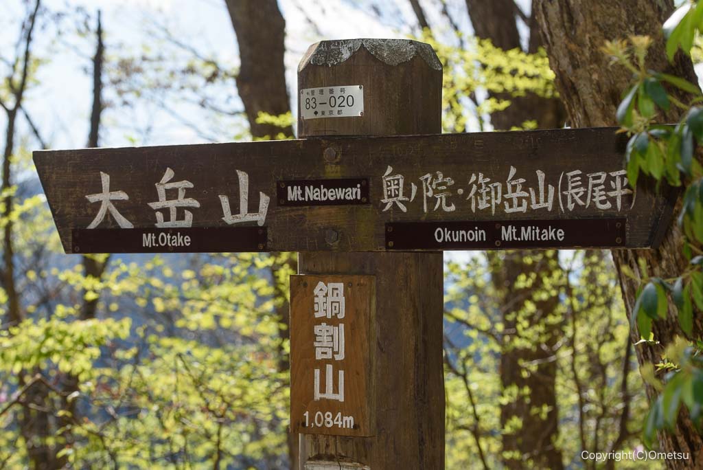 御岳山・鍋割山頂