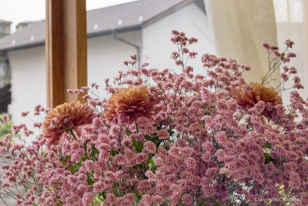 青梅・ORITOの花