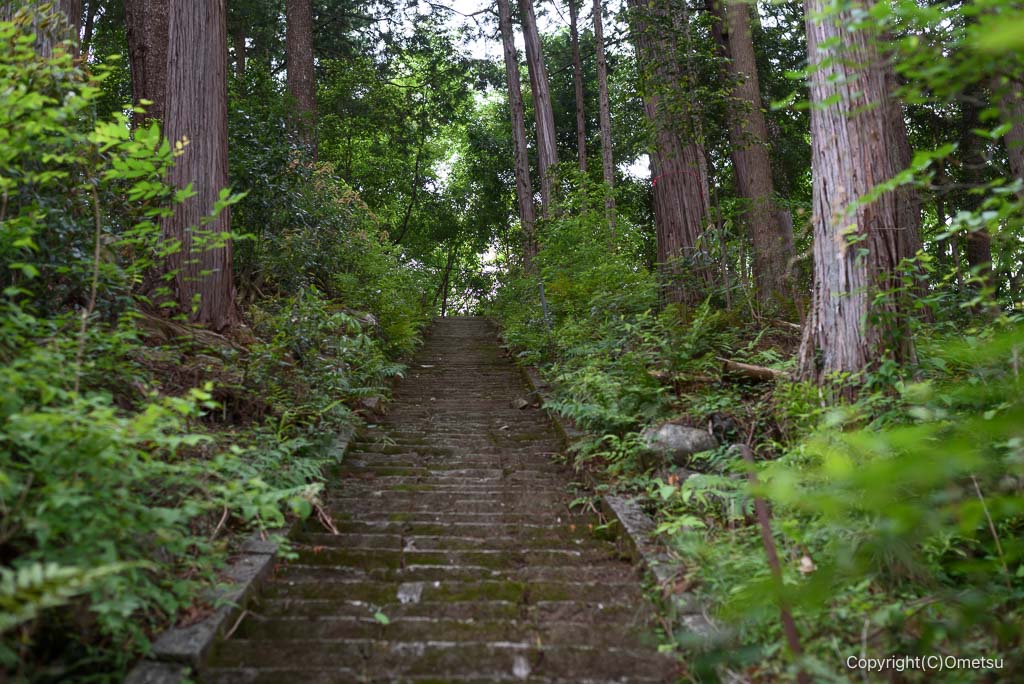 奥多摩・羽黒三田神社、参道の石段