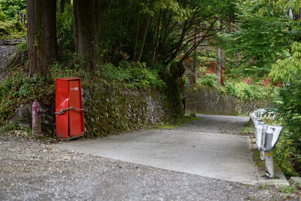 奥多摩・羽黒三田神社参道、林道付近