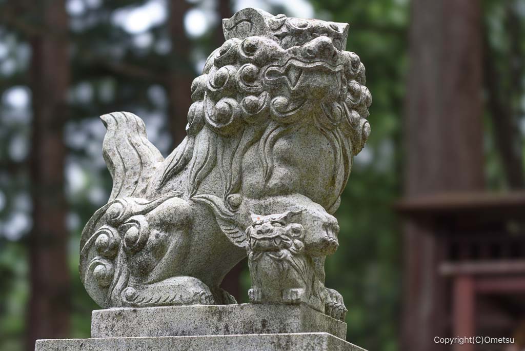 奥多摩・羽黒三田神社の狛犬