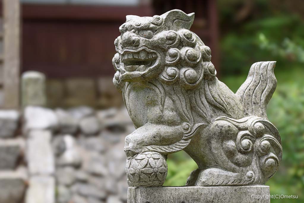 奥多摩・羽黒三田神社の狛犬
