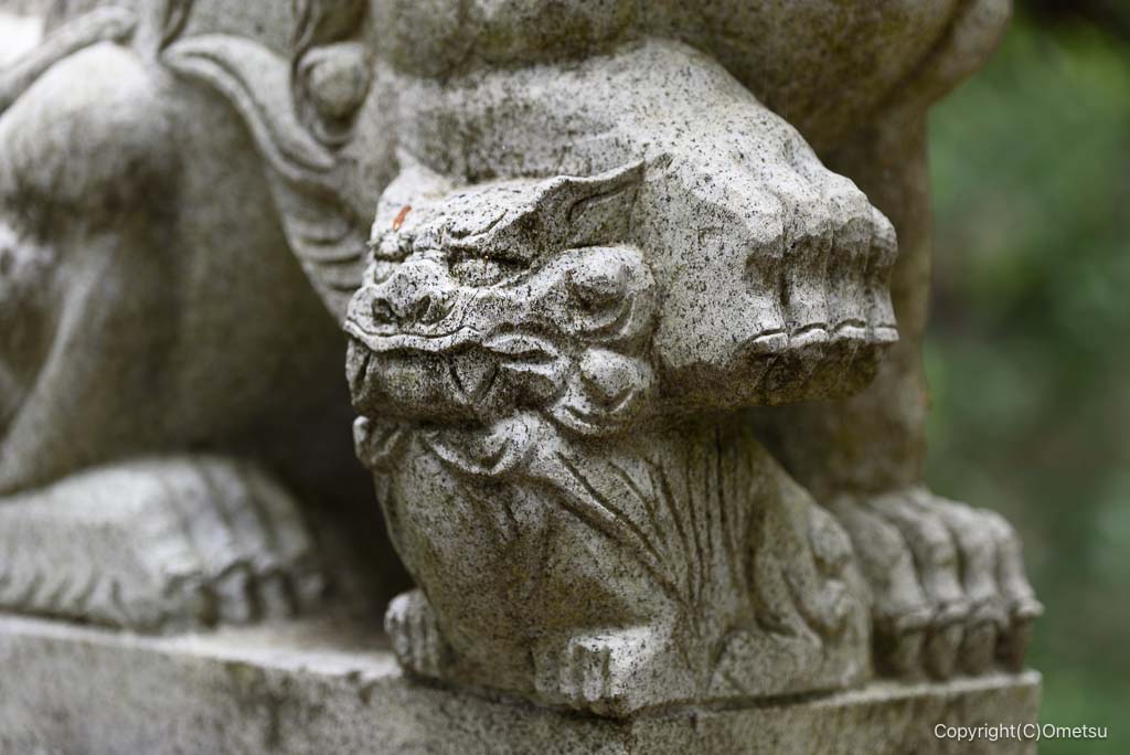 奥多摩・羽黒三田神社の子取り狛犬