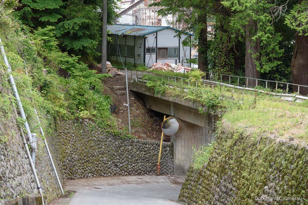 奥多摩・元巣の森付近の鉄橋