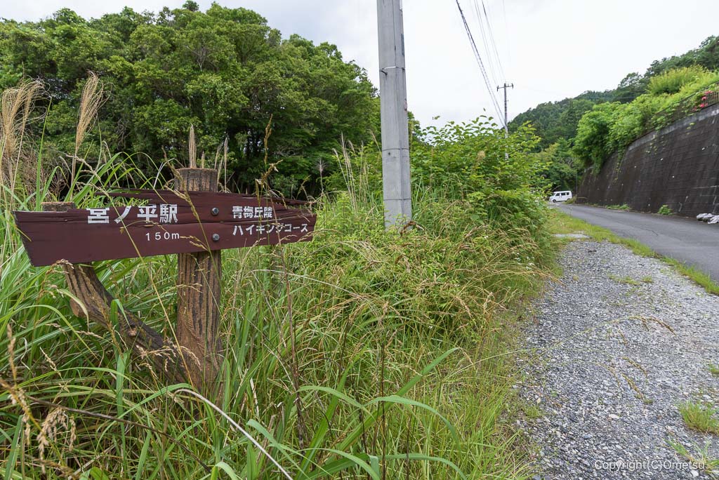 宮ノ平駅付近、石灰採石場跡地付近の道