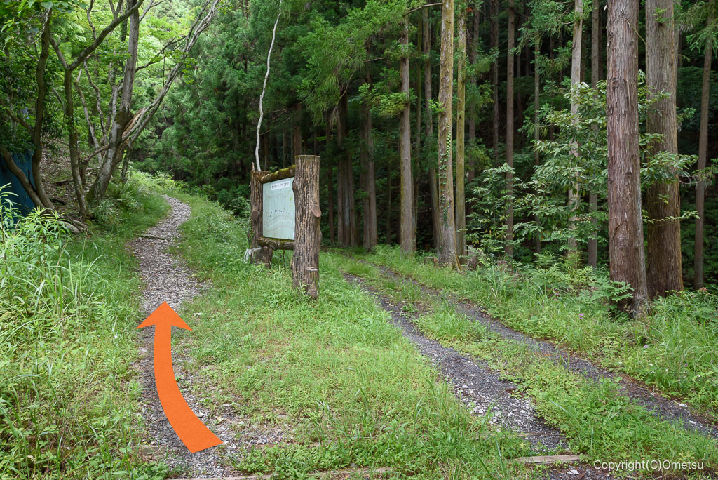 宮ノ平駅付近・青梅丘陵ハイキングコース入口の道