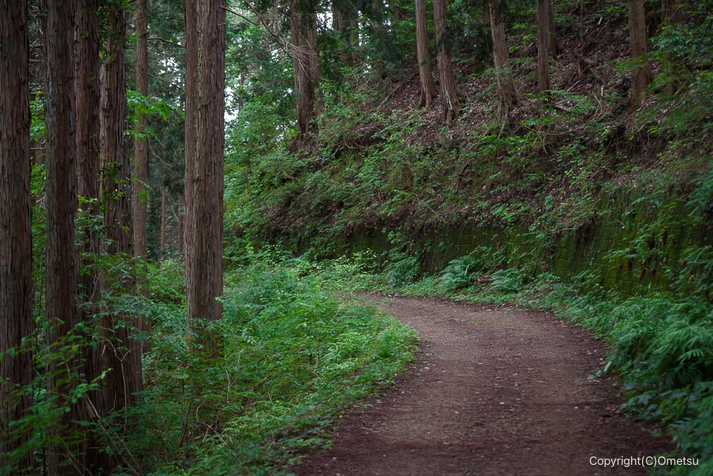 宮ノ平駅付近・青梅丘陵ハイキングコースの山道
