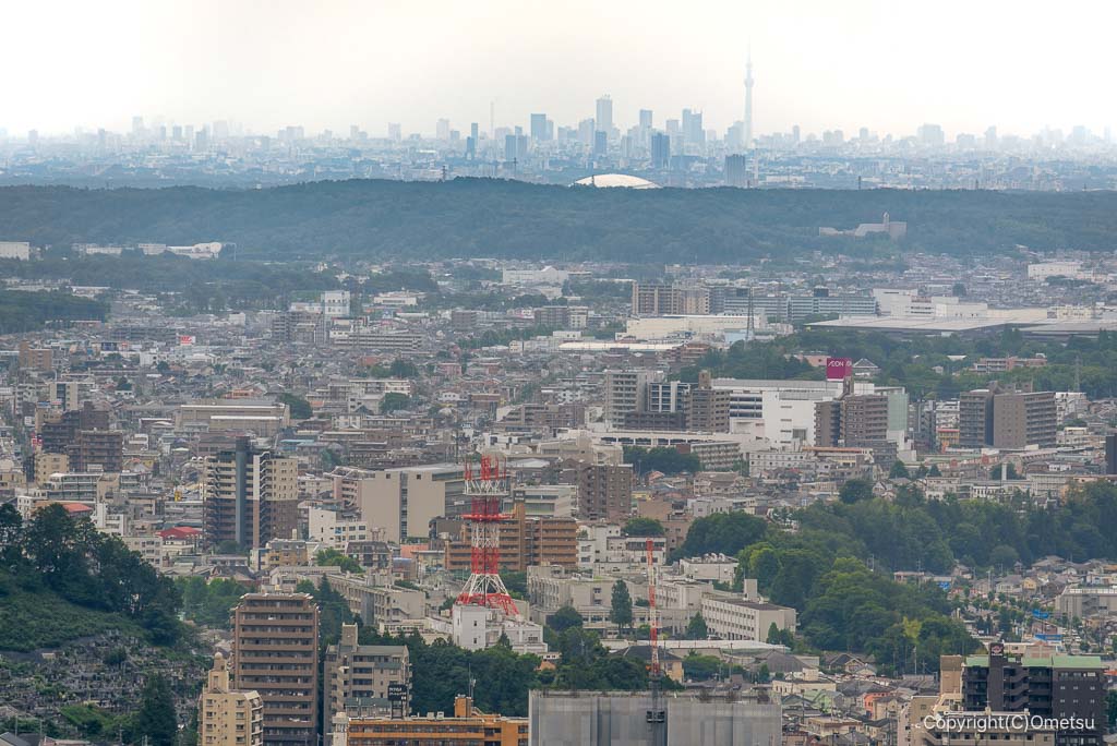 青梅丘陵ハイキングコースの、矢倉台の、スカイツリーの展望
