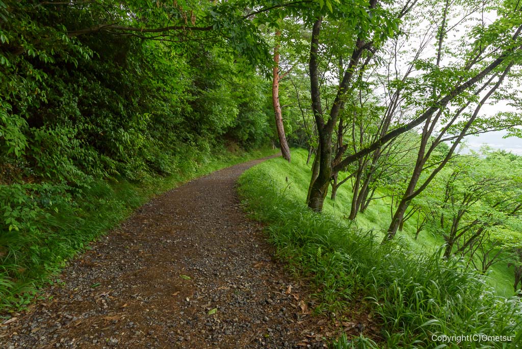 青梅丘陵ハイキングコースの道