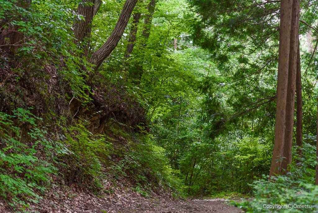 青梅丘陵ハイキングコースの道