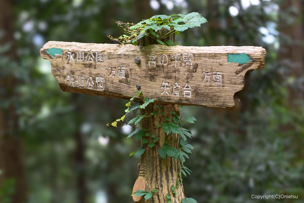 青梅丘陵ハイキングコースの道標