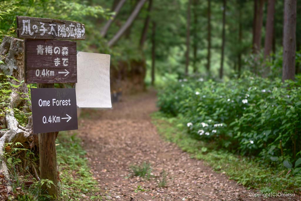 青梅丘陵ハイキングコース、青梅の森方面の道標