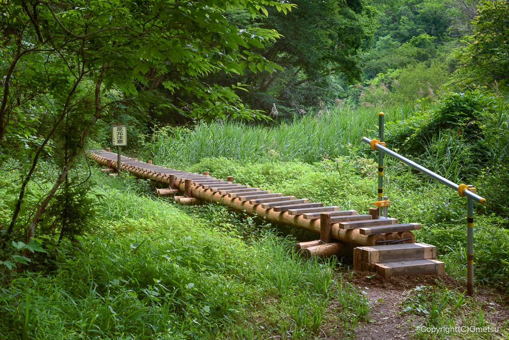 青梅の森、北谷津の木道