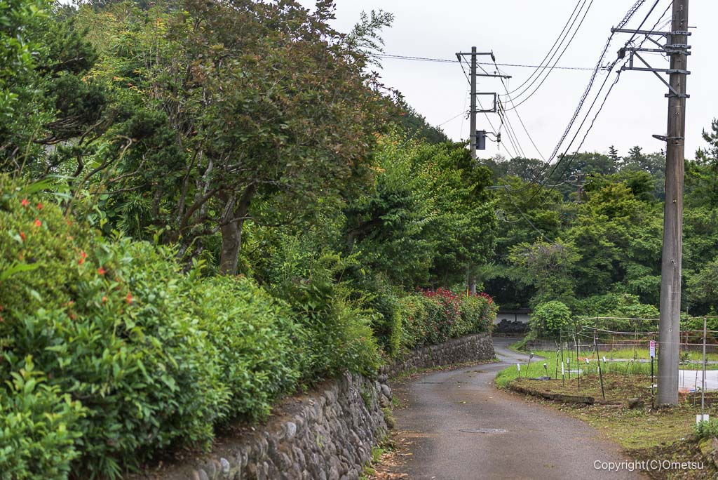 青梅の森、北谷津付近の道