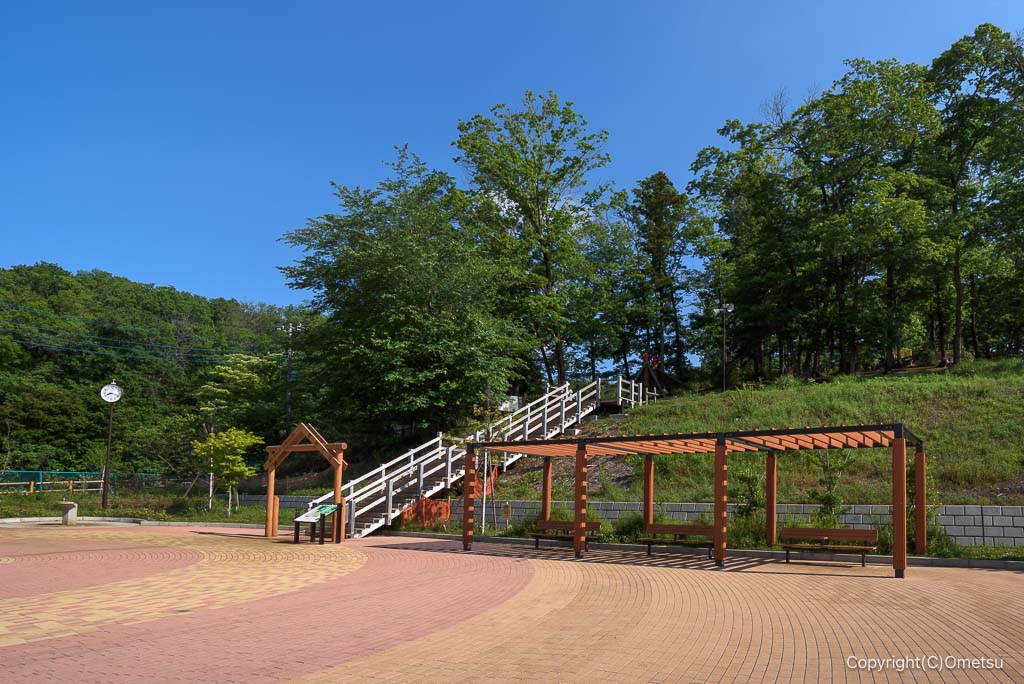 武蔵村山・都立野山北・六道山公園の、冒険の森広場