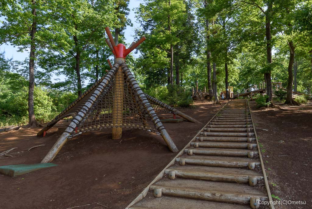 武蔵村山・都立野山北・六道山公園の、冒険の森の、アスレチック