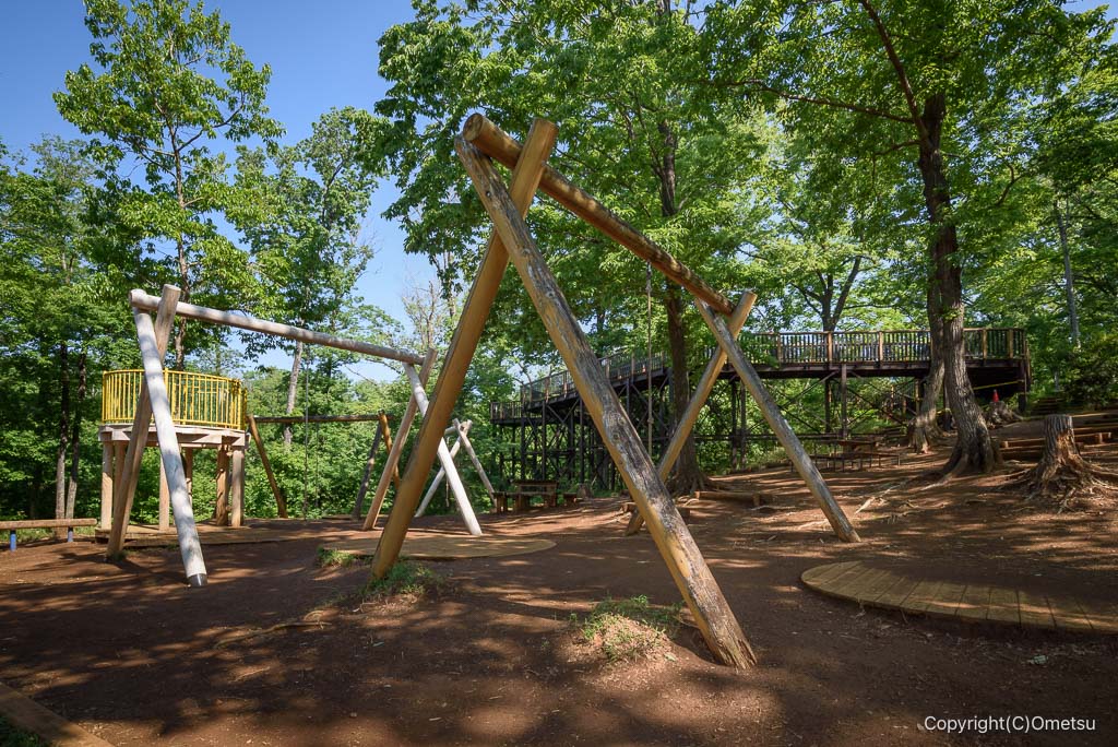 武蔵村山・都立野山北・六道山公園の、冒険の森の、アスレチック