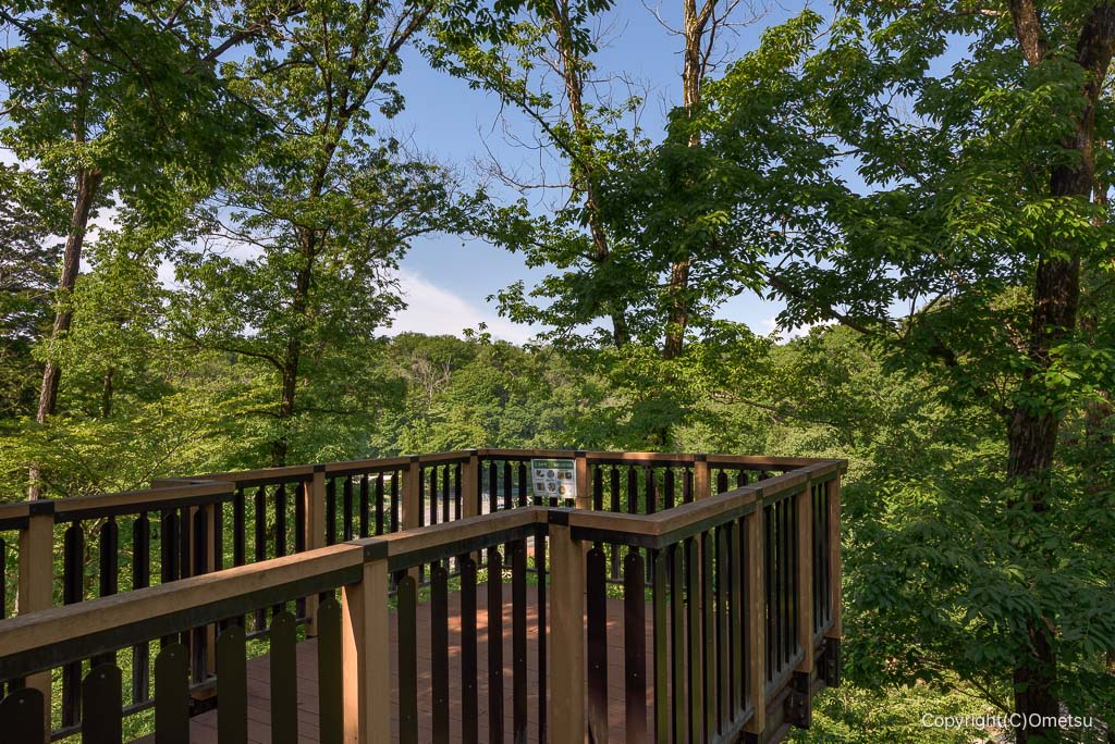 武蔵村山・都立野山北・六道山公園の、冒険の森の、展望台