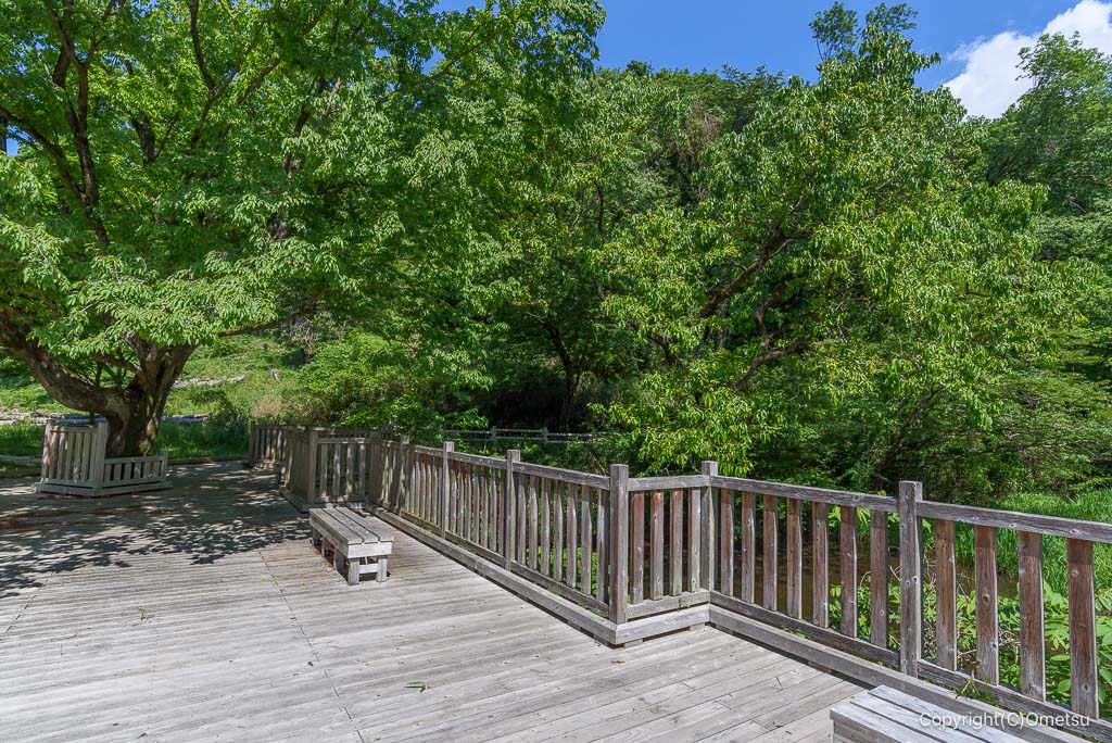 武蔵村山・都立野山北・六道山公園の、赤坂谷地のウッドデッキ