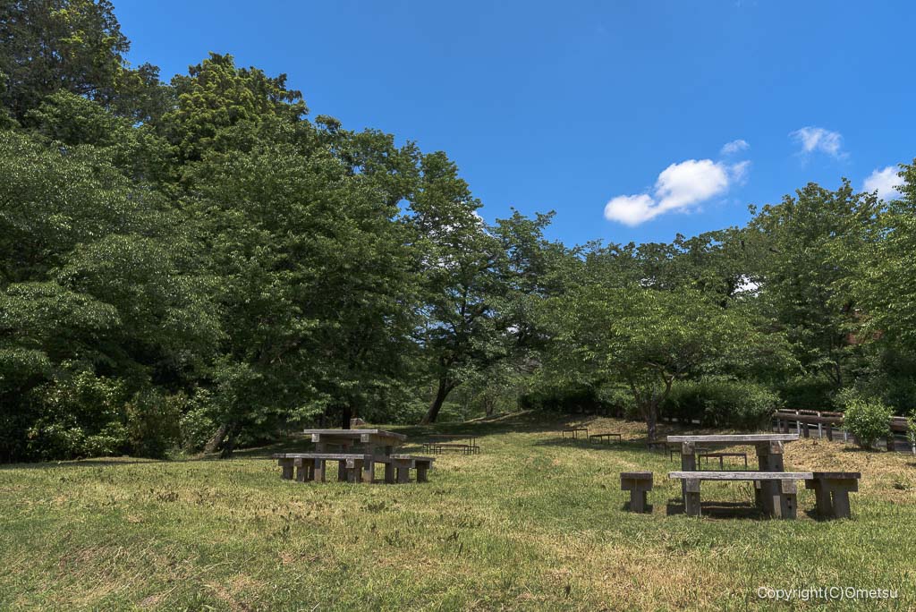 武蔵村山・都立野山北・六道山公園のベンチ
