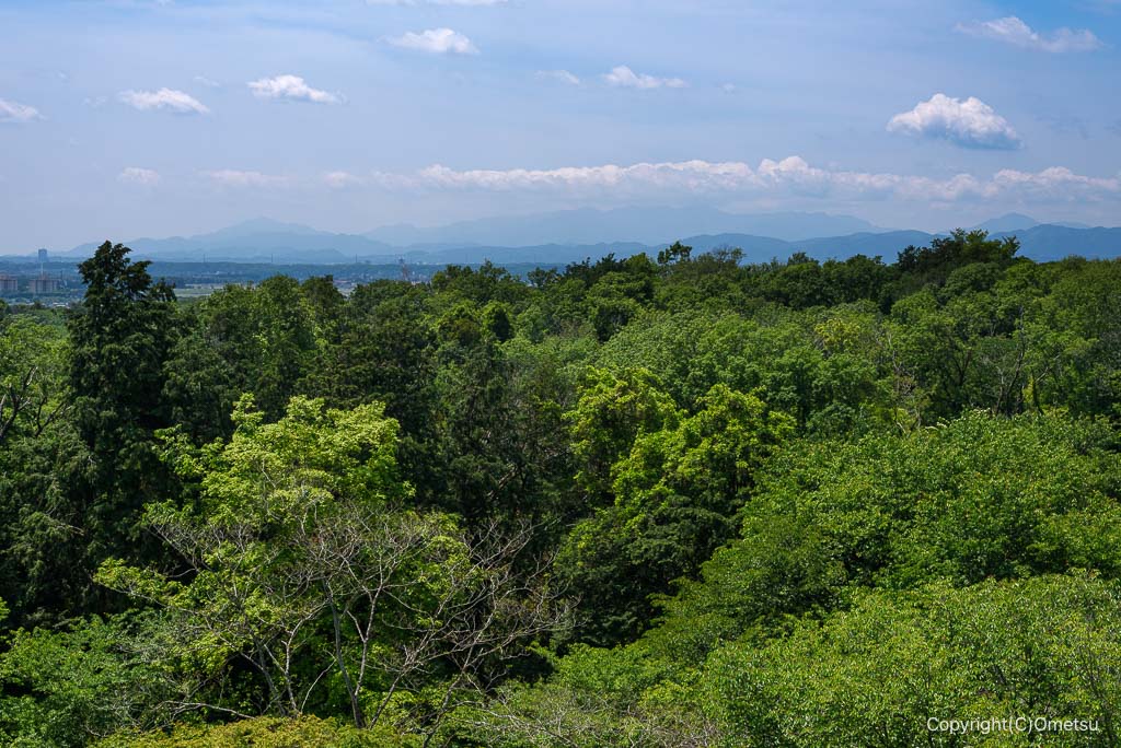 武蔵村山・都立野山北・六道山公園の展望台からの光景