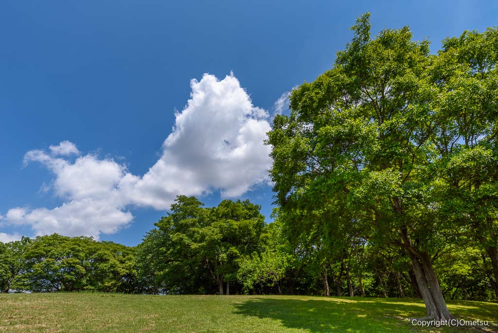 武蔵村山・都立野山北・六道山公園の富士見台広場