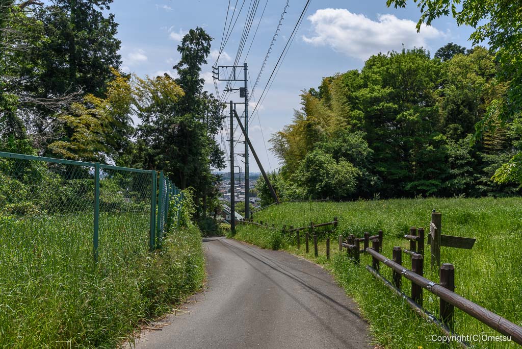 武蔵村山・都立野山北・六道山公園、石畑付近の道