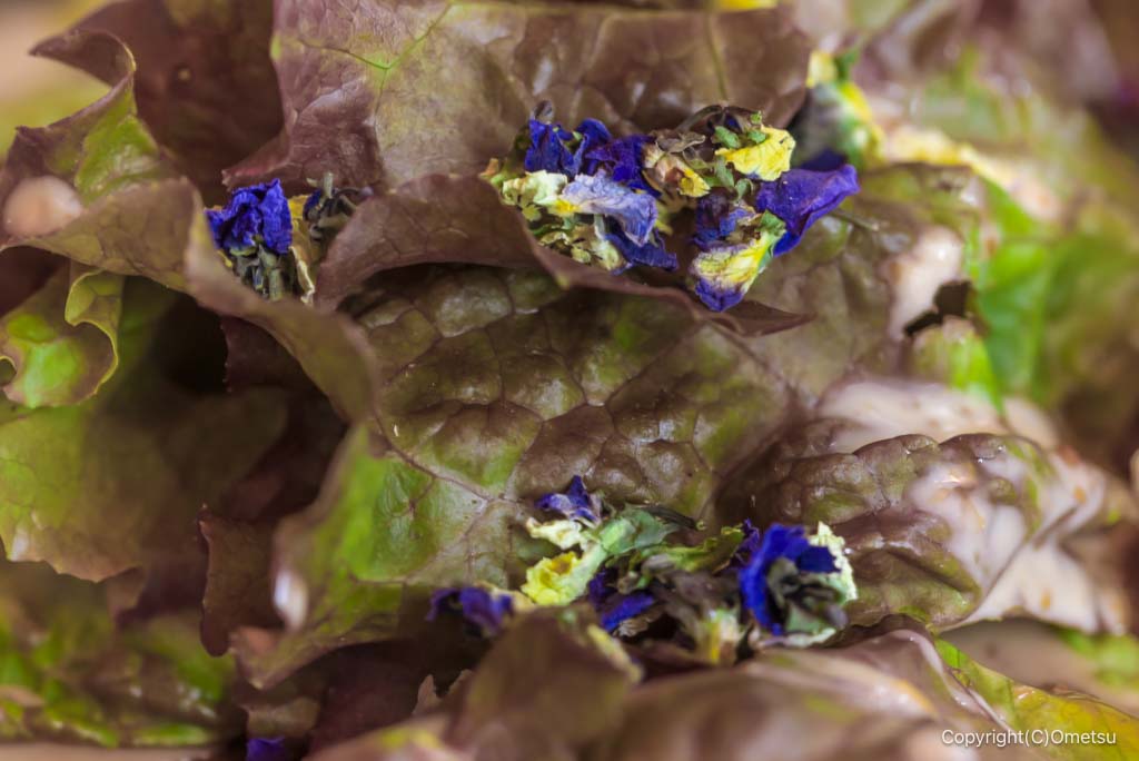 あきる野市・Cafe＆Bar Shade lampのロコモコのサラダ