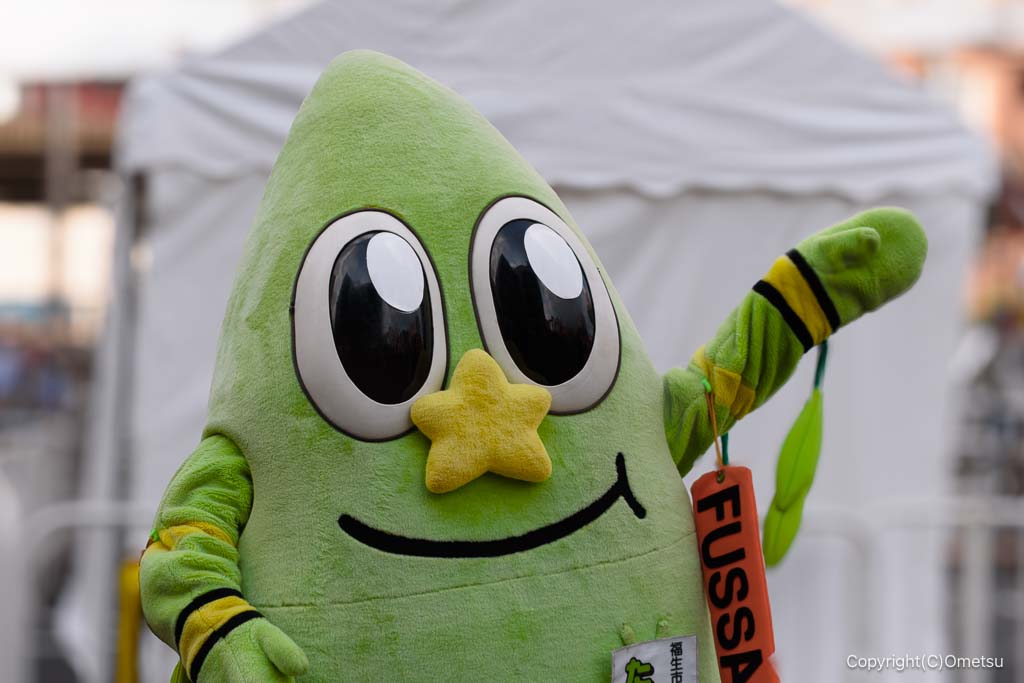 第75回福生七夕祭りの、たっけー