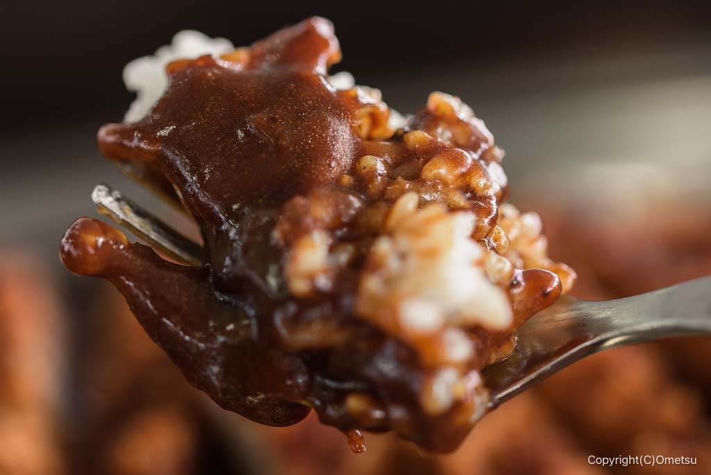ジョイフル本田瑞穂店・ゴーゴーカレーのカレーのソース