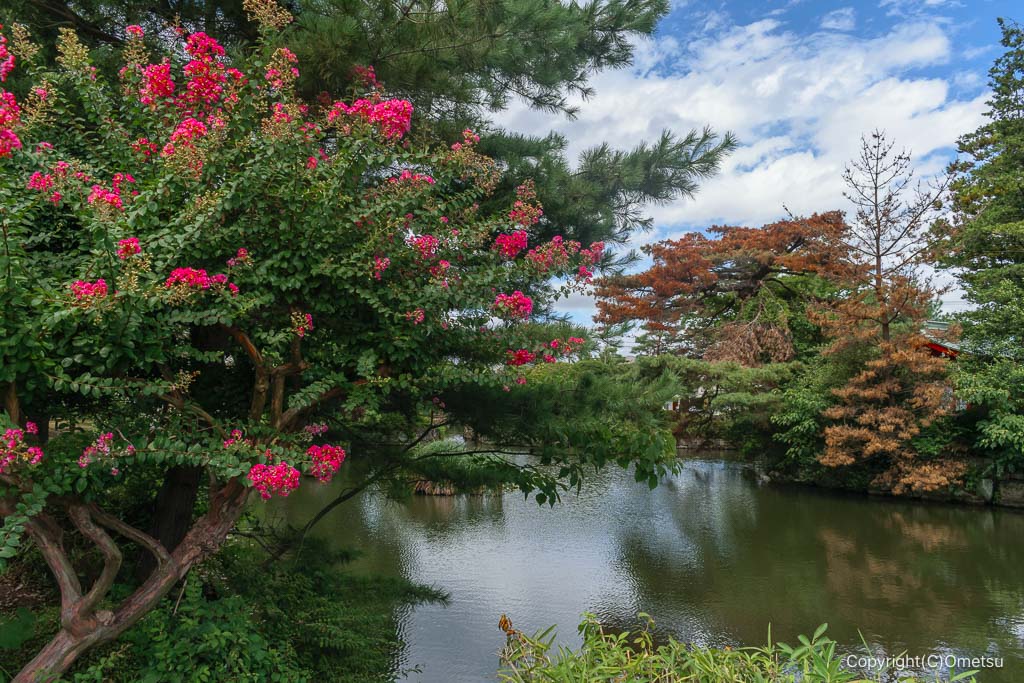 瑞穂町・狭山池公園